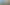 Talking Tom Gold Run Gameplays