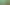 My Talking Tom Friends Gameplays
