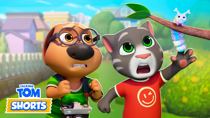 Talking Tom Shorts Season 3